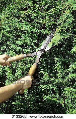 Stock Image - Tumi, adults, asian, at work, body detail, body details. Fotosearch