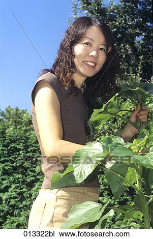 Stock Image - Tumi, adults, asian, at work. Fotosearch