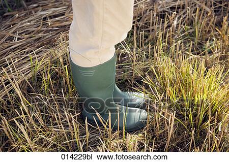 close-up of person in wellington boot View Large Photo Image Stock Image - close-up of person in wellington boot. Fotosearch