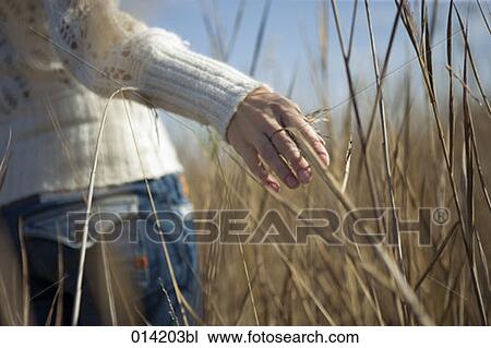 close-up of woman walking through reeds View Large Photo Image Stock Image - close-up of woman walking through reeds. Fotosearch