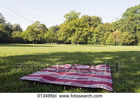 still life of blanket lying on grass in park View Large Photo Image Stock Image - still life of blanket lying on grass in park. Fotosearch