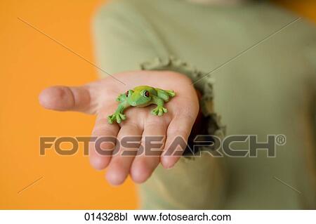 close-up of child´s hand with green frog View Large Photo Image Stock Image - close-up of child´s hand with green frog. Fotosearch