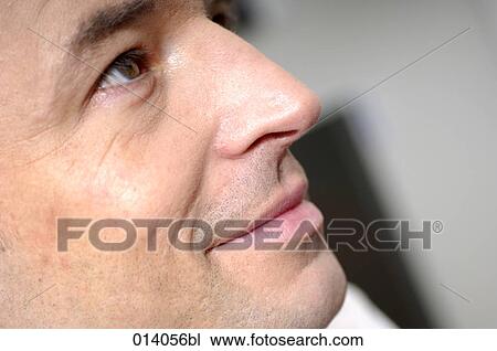 close-up of male head in profile View Large Photo Image Stock Image - close-up of male head in profile. Fotosearch