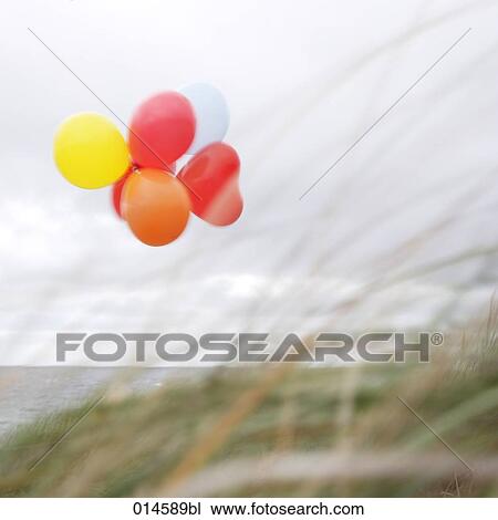 group of colourful balloons flying in the wind on beach View Large Photo Image Stock Image - group of colourful balloons flying in the wind on beach. Fotosearch