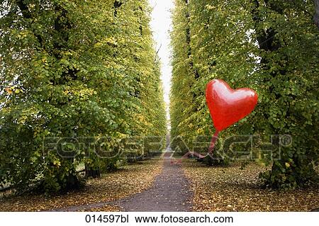 heart shaped red balloon flying over rural path in autumn View Large Photo Image Stock Image - heart shaped red balloon flying over rural path in autumn. Fotosearch