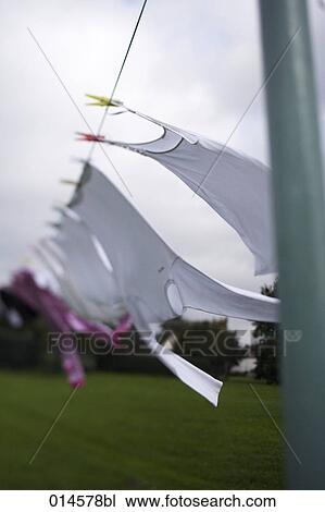 laundry hanging on clothesline in the garden and drying in autumn wind View Large Photo Image Stock Image - laundry hanging on clothesline in the garden and drying in autumn wind. Fotosearch