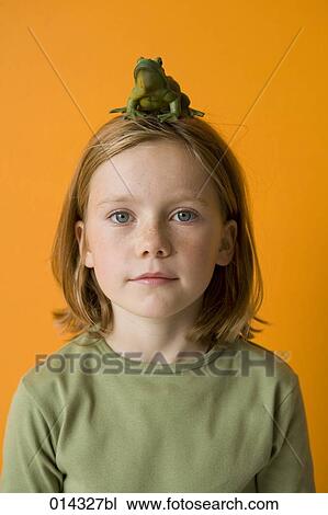 little girl with toy frog on her head View Large Photo Image Stock Image - little girl with toy frog on her head. Fotosearch