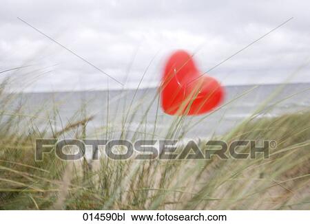 red balloon in shape of heart flying on windy beach in autumn View Large Photo Image Stock Image - red balloon in shape of heart flying on windy beach in autumn. Fotosearch