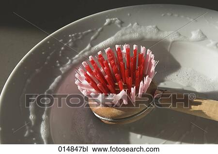 still life of brush and plate View Large Photo Image Stock Image - still life of brush and plate. Fotosearch
