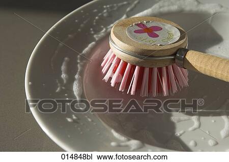 still life of brush and plate View Large Photo Image Stock Image - still life of brush and plate. Fotosearch