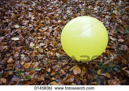 Stock Image - yellow balloon lying on brown leaves in autumn. Fotosearch