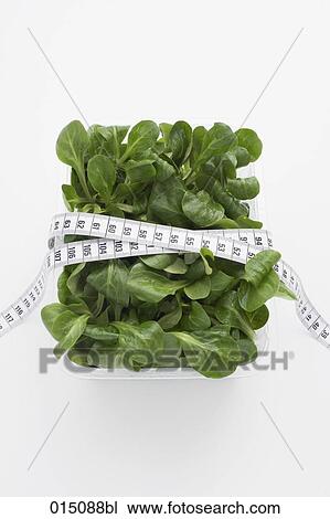 still life of corn salad with tape measure View Large Photo Image Stock Image - still life of corn salad with tape measure. Fotosearch