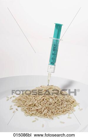 still life of syringe injecting rice View Large Photo Image Stock Image - still life of syringe injecting rice. Fotosearch