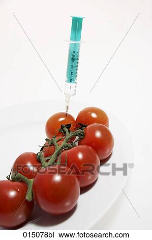 syringe injecting tomatoes lying on plate View Large Photo Image Stock Image - syringe injecting tomatoes lying on plate. Fotosearch