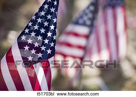 American flags laid out in a field to symbolize soldiers died in the Iraq war in Turners Falls Massachusetts, USA View Large Photo Image Stock Image - American flags laid out in a field to symbolize soldiers died in the Iraq war in Turners Falls Massachusetts, USA. Fotosearch