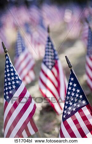American flags laid out in a field to symbolize soldiers died in the Iraq war in Turners Falls Massachusetts, USA View Large Photo Image Stock Image - American flags laid out in a field to symbolize soldiers died in the Iraq war in Turners Falls Massachusetts, USA. Fotosearch