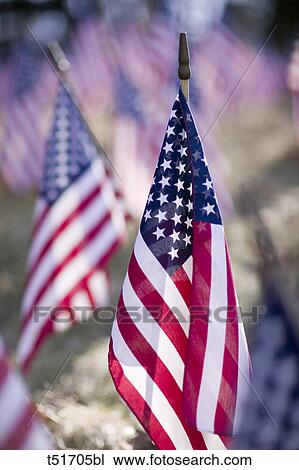 American flags laid out in a field to symbolize soldiers died in the Iraq war in Turners Falls Massachusetts, USA View Large Photo Image Stock Image - American flags laid out in a field to symbolize soldiers died in the Iraq war in Turners Falls Massachusetts, USA. Fotosearch