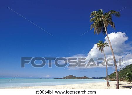 Antigua, Deep Bay beach View Large Photo Image Stock Image - Antigua, Deep Bay beach. Fotosearch