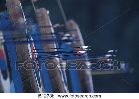 Arrows on target View Large Photo Image Stock Image - Arrows on target. Fotosearch