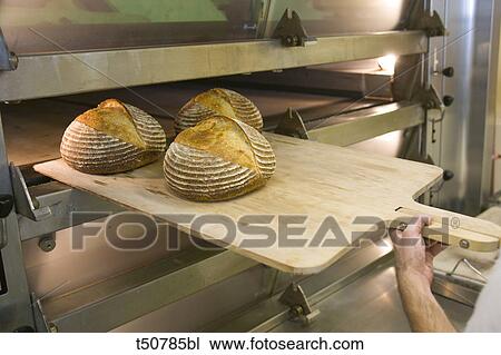 Baker taking bread out of the oven View Large Photo Image Stock Image - Baker taking bread out of the oven. Fotosearch