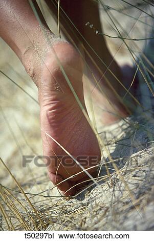 Barefoot on sand View Large Photo Image Stock Image - Barefoot on sand. Fotosearch