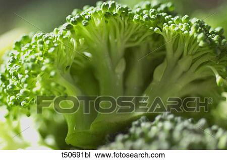 Broccoli View Large Photo Image Stock Image - Broccoli. Fotosearch