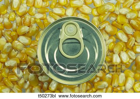 Can and grains of corn View Large Photo Image Stock Image - Can and grains of corn. Fotosearch
