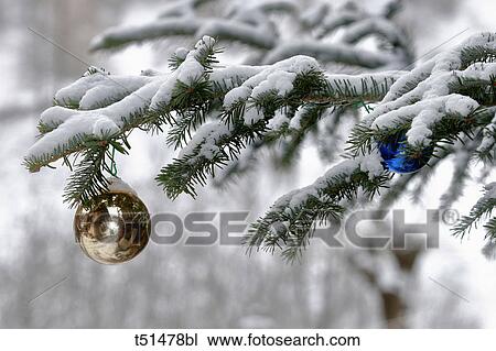 Stock Image - Christmas decoration on tree. Fotosearch