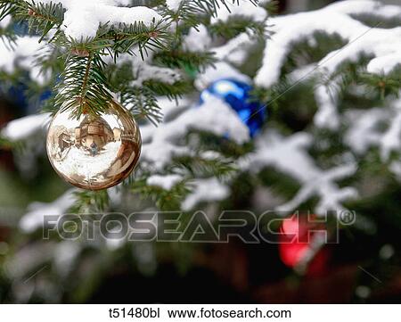 Christmas decoration on tree View Large Photo Image Stock Image - Christmas decoration on tree. Fotosearch
