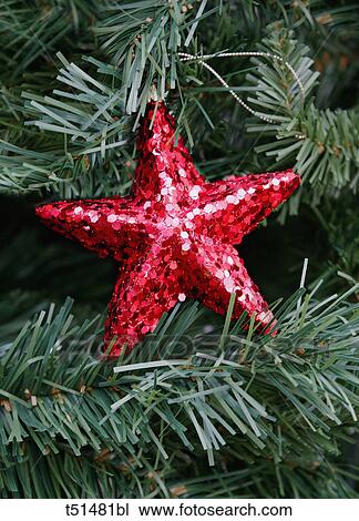 Christmas decoration on tree View Large Photo Image Stock Image - Christmas decoration on tree. Fotosearch