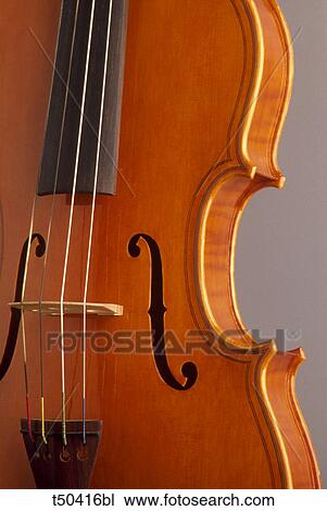 Close up of a cello View Large Photo Image Stock Image - Close up of a cello. Fotosearch