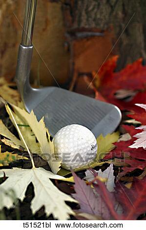 Close up of a golf club and ball View Large Photo Image Stock Image - Close up of a golf club and ball. Fotosearch