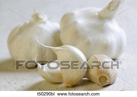 Clove of garlic View Large Photo Image Stock Image - Clove of garlic. Fotosearch