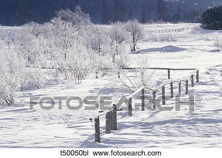 Countryside in winter View Large Photo Image Stock Image - Countryside in winter. Fotosearch