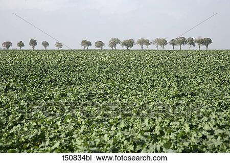 Countryside View Large Photo Image Stock Image - Countryside. Fotosearch