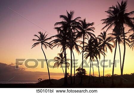 Stock Image - Cuba, Havana, Playa del Este. Fotosearch