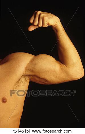Detail of a man arm showing his bicep View Large Photo Image Stock Image - Detail of a man arm showing his bicep. Fotosearch