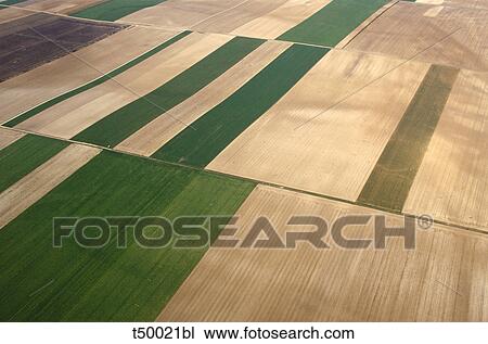 Fields in France, region of Loire View Large Photo Image Stock Image - Fields in France, region of Loire. Fotosearch