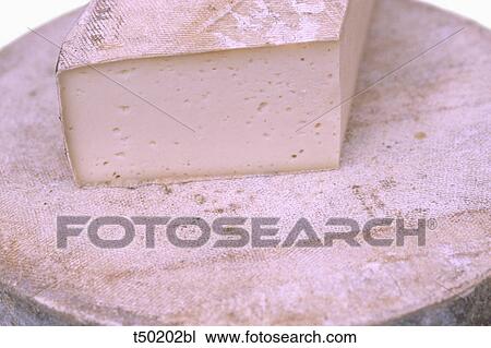Fresh cheese View Large Photo Image Stock Image - Fresh cheese. Fotosearch