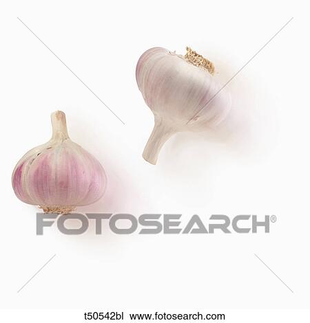 Garlic View Large Photo Image Stock Image - Garlic. Fotosearch