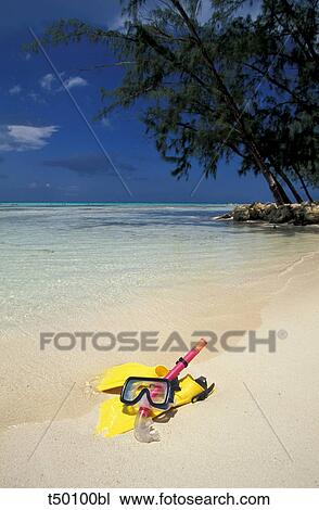 Grand Cayman, scuba mask and flippers on the beach View Large Photo Image Stock Image - Grand Cayman, scuba mask and flippers on the beach. Fotosearch