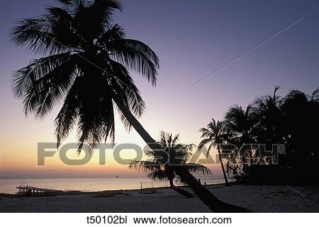 Grand Cayman, Seven Mile Beach at sunset View Large Photo Image Stock Image - Grand Cayman, Seven Mile Beach at sunset. Fotosearch