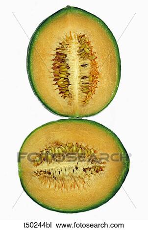 Half melon View Large Photo Image Stock Image - Half melon. Fotosearch