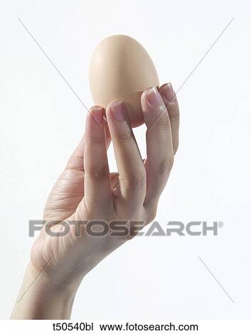 Stock Image - Hand holding egg. Fotosearch