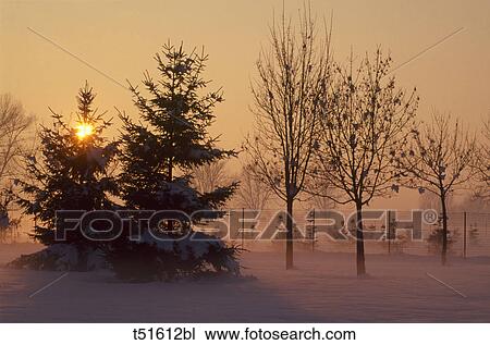 Landscape at sunset View Large Photo Image Stock Image - Landscape at sunset. Fotosearch