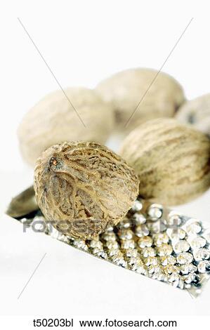 Nutmegs and grater View Large Photo Image Stock Image - Nutmegs and grater. Fotosearch
