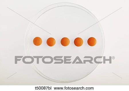 Orange pills View Large Photo Image Stock Image - Orange pills. Fotosearch