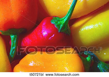 Peppers View Large Photo Image Stock Image - Peppers. Fotosearch