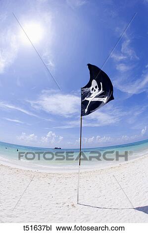 Pirate flag on beach in Playa del Carmen, Mexico View Large Photo Image Stock Image - Pirate flag on beach in Playa del Carmen, Mexico. Fotosearch