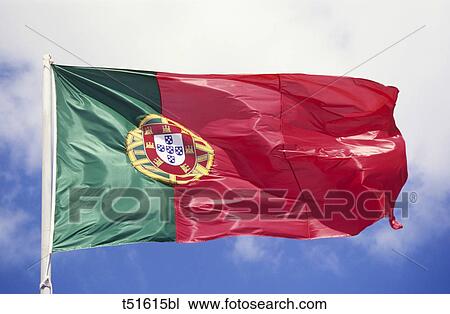 Portuguese flag View Large Photo Image Stock Image - Portuguese flag. Fotosearch